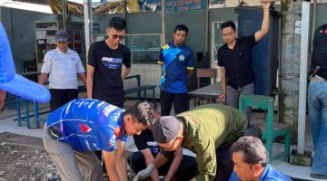 Jaga Silaturahmi Kebersamaan dan Persaudaraan antar Guru, SMK Muhammadiyah 2 Metro Sembelih Kambing 5 Ekor
